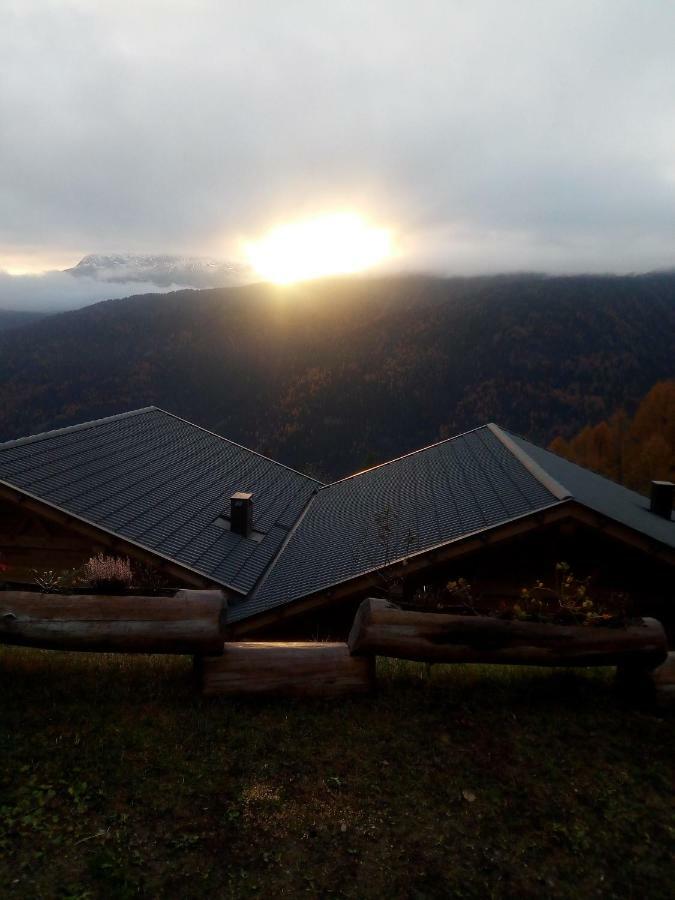 Chalet Niederhaushof Ultimo Exterior photo