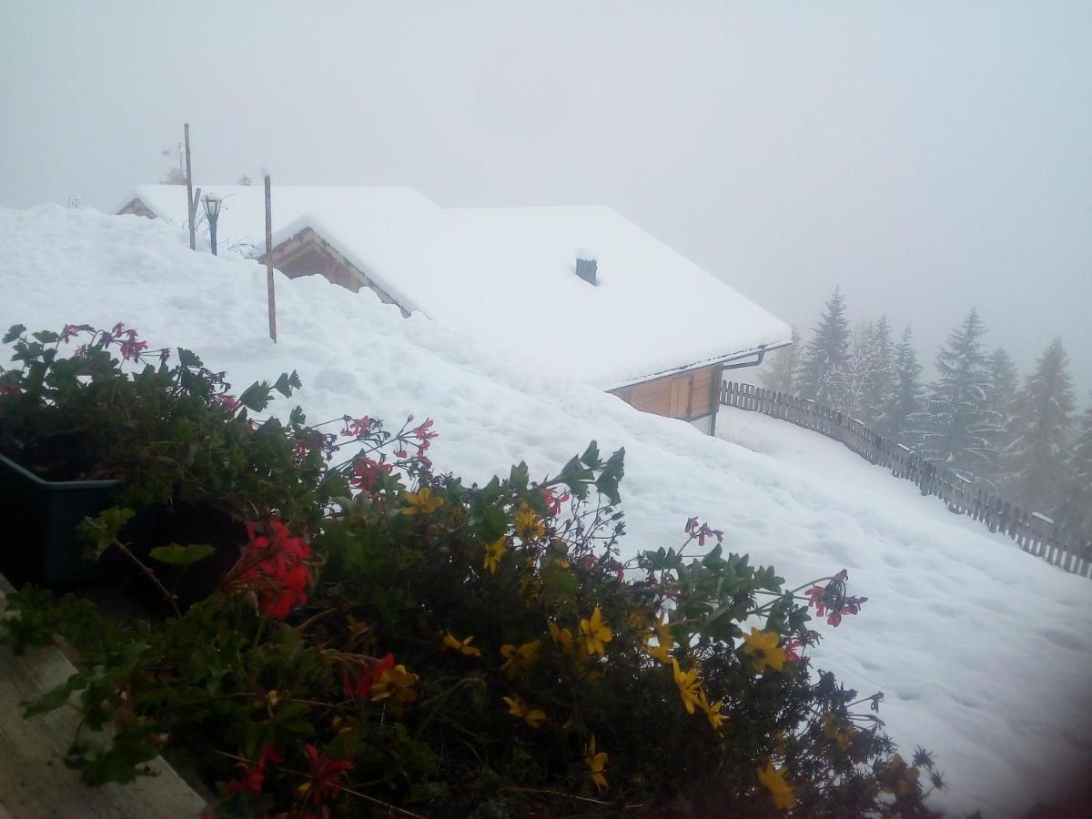 Chalet Niederhaushof Ultimo Exterior photo